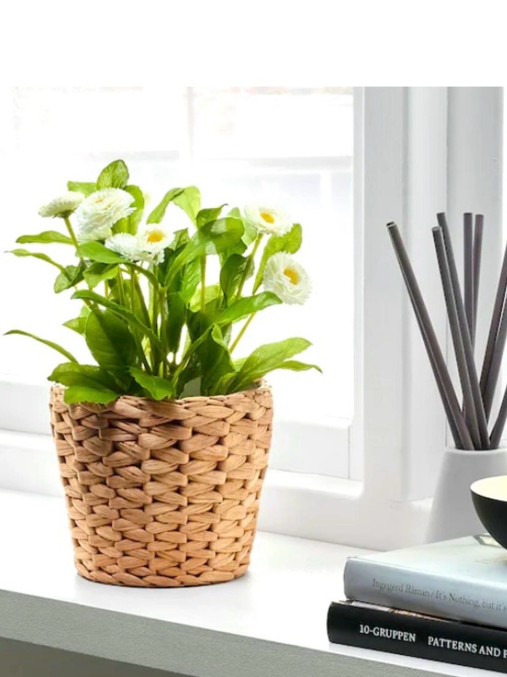 IKEA FRIDFULL Plant Pot 🪴